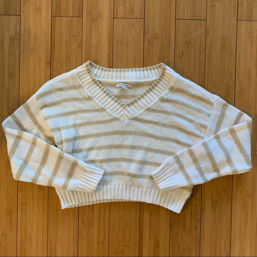 cropped AE sweater